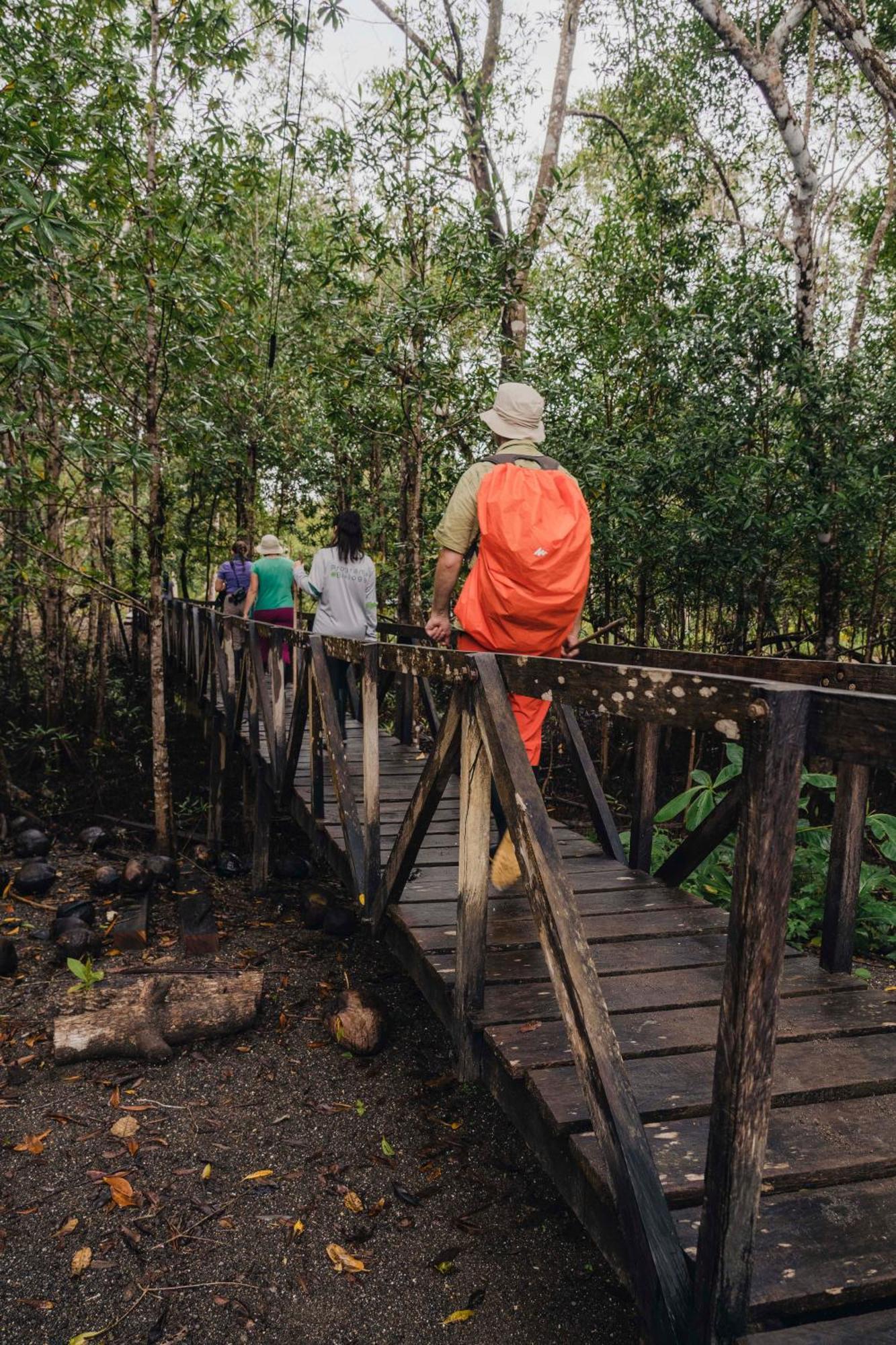 Jardin Botanico Del Pacifico Y Mecana Ecohotel Баия Солано Екстериор снимка