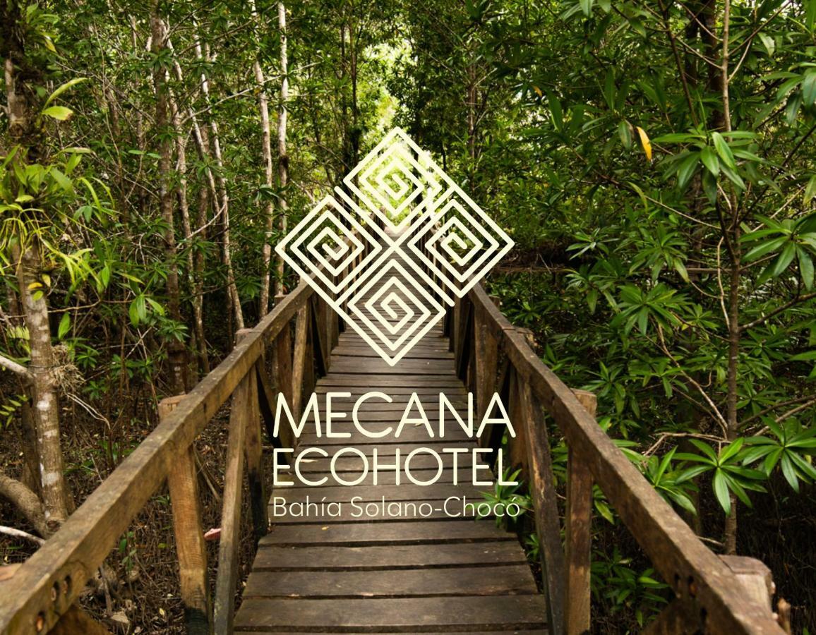 Jardin Botanico Del Pacifico Y Mecana Ecohotel Баия Солано Екстериор снимка